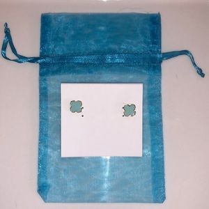 New never worn pretty light blue with gold colored trim pierced earrings w bag!